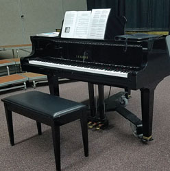 piano and bench